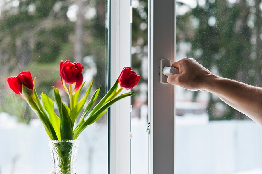 Person's hand opening a window with double glazing and flowers on the window sill