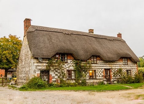 Picture of a thatched roof
