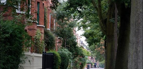 Avenue with trees - how to recognise the signs of ground heave