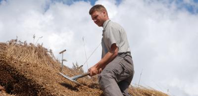 Master Thatcher on a thatched roof