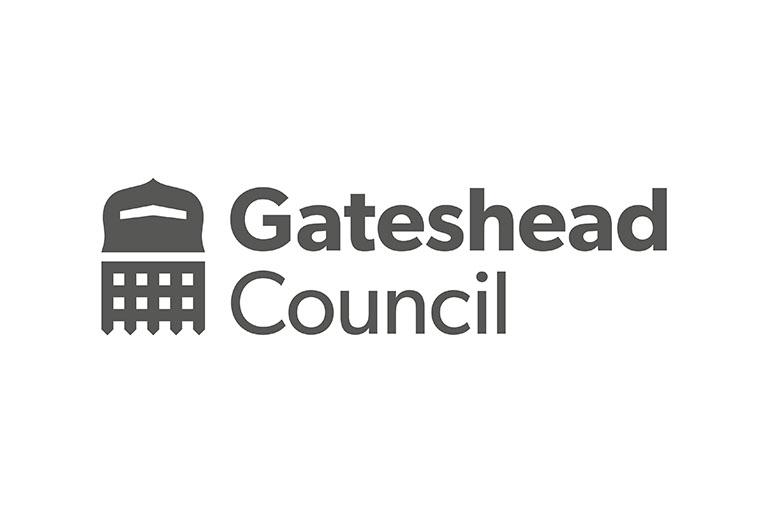 Vladimir Ladinski, Gateshead Council 