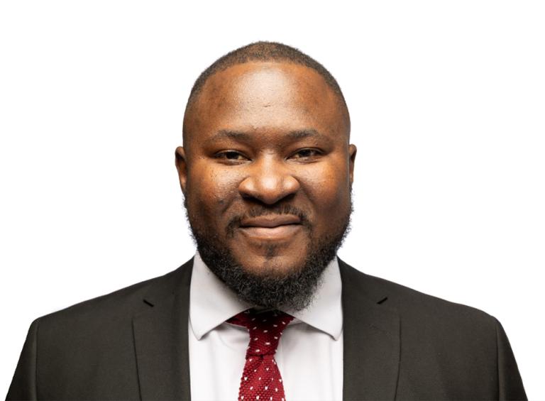 Ian Mazaiwana, Higgins Partnership 1961 PLC